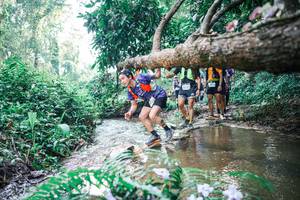 BIB: 
                            <button type="button" onclick="openModal(25455365)" class="btn btn-primary btn-sm float-right btn-popup" data-toggle="modal" data-target=".modal-high-quality">
                        <i class="fas fa-shopping-cart"></i> Add to Cart
                    </button>
                                            <button type="button" onclick="isThisMe(25455365, true)" class="btn btn-success btn-sm float-right btn-popup btn-isme hidden" data-toggle="tooltip" data-placement="bottom" title="นี่คือรูปของคุณใช่ไหม คลิกที่นี่เพื่อเอาเข้าอัลบั้ม">
                        <i class="fas fa-plus"></i> Add to album
                    </button>
                    <button type="button" onclick="isThisMe(25455365, false)" class="btn btn-warning btn-sm float-right btn-popup btn-isnotme hidden">
                        <i class="fas fa-ban"></i> Remove from album
                    </button>